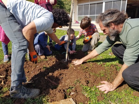 נטיעות טו בשבט 2019